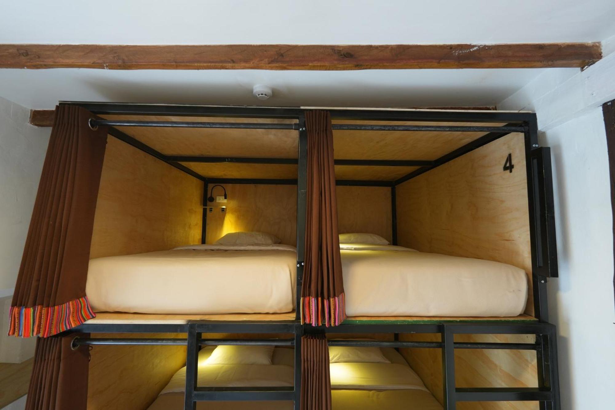 Black Llama Hostal